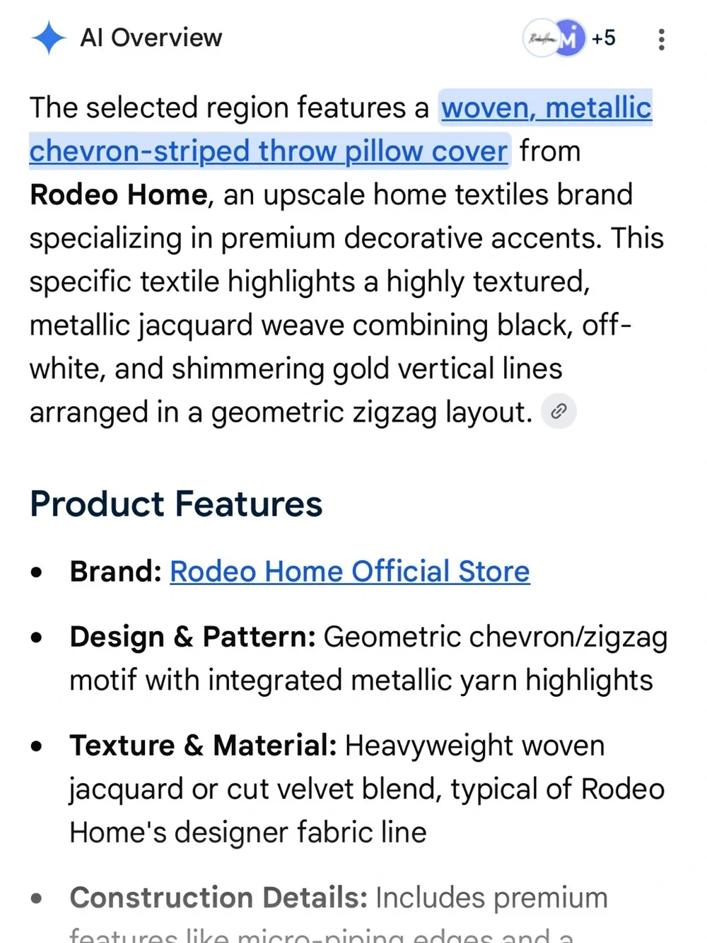 Rodeo Home Velvet Chenille Black and Gold Zippered Pillow Cover